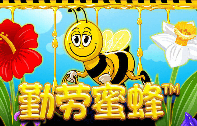 595cc开元官网下载了