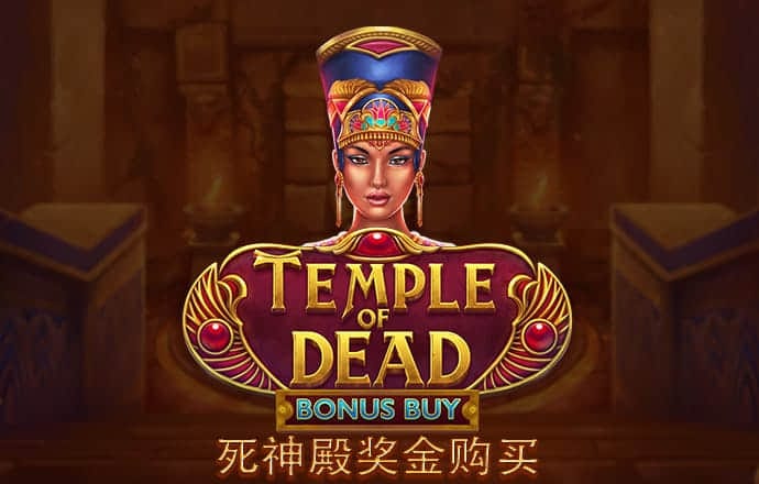 今年会app下载